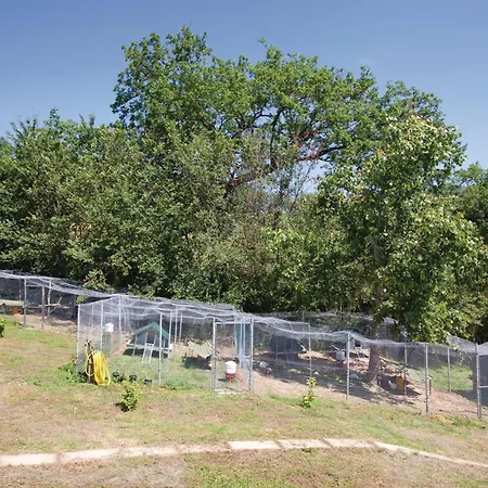 Stunning In Tatil Evi